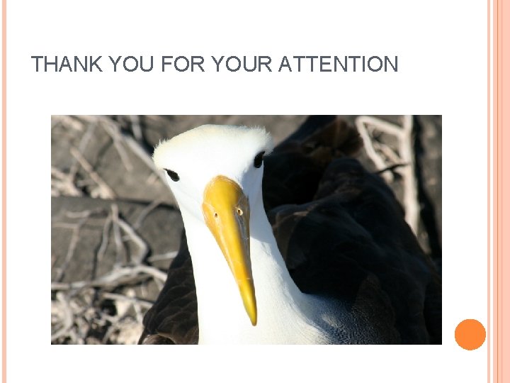 THANK YOU FOR YOUR ATTENTION 