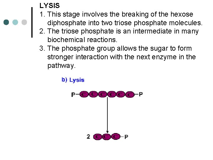 LYSIS 1. This stage involves the breaking of the hexose diphosphate into two triose
