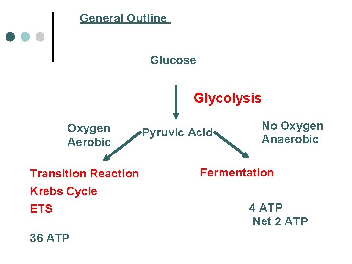 General Outline Glucose Glycolysis Oxygen Aerobic Transition Reaction Krebs Cycle ETS 36 ATP Pyruvic