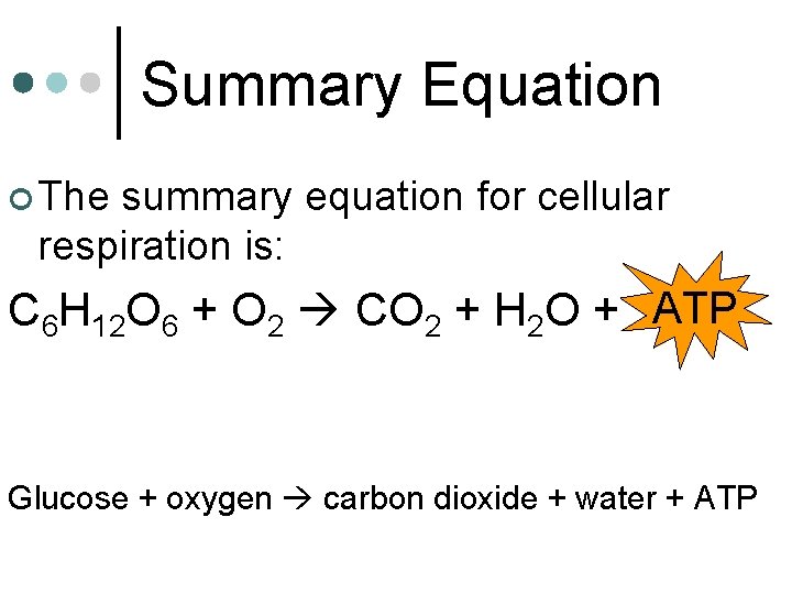 Summary Equation ¢ The summary equation for cellular respiration is: C 6 H 12