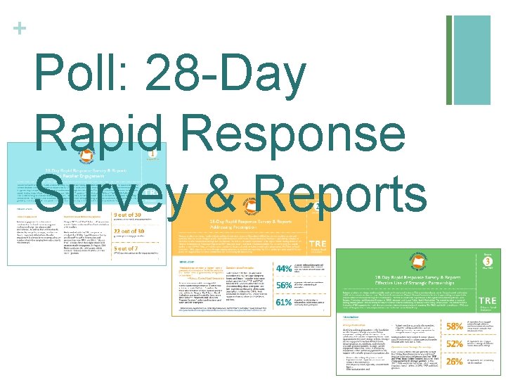 + Poll: 28 -Day Rapid Response Survey & Reports 