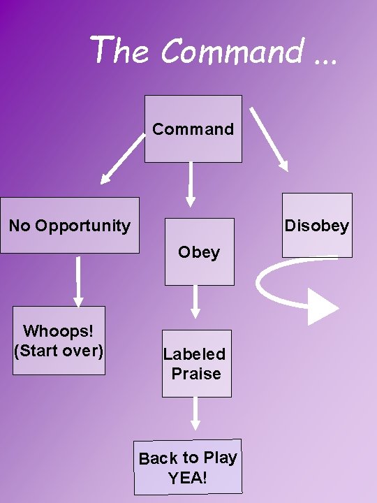 The Command. . . Command No Opportunity Disobey Obey Whoops! (Start over) Labeled Praise