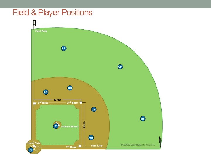 Field & Player Positions 