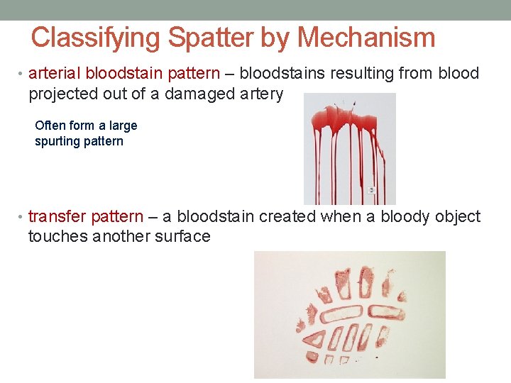 Classifying Spatter by Mechanism • arterial bloodstain pattern – bloodstains resulting from blood projected