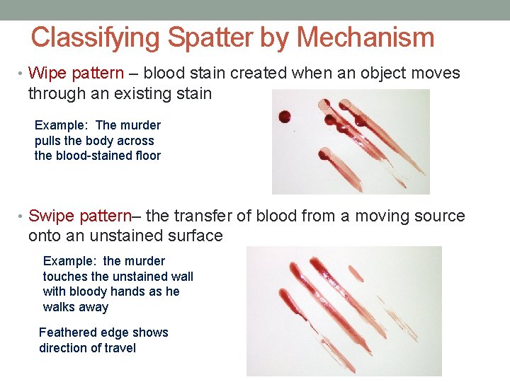Classifying Spatter by Mechanism • Wipe pattern – blood stain created when an object