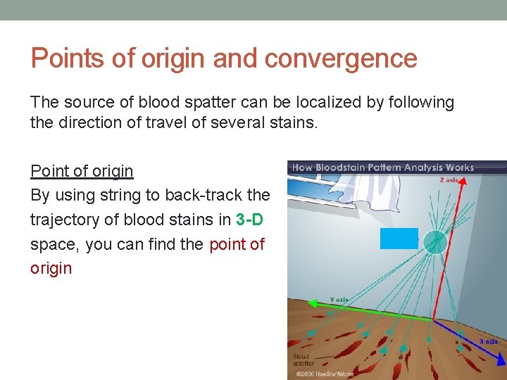 Points of origin and convergence The source of blood spatter can be localized by