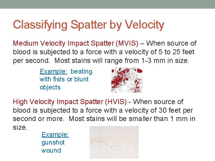 Classifying Spatter by Velocity Medium Velocity Impact Spatter (MVIS) – When source of blood