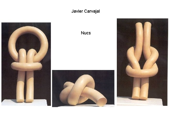 Javier Carvajal Nucs 