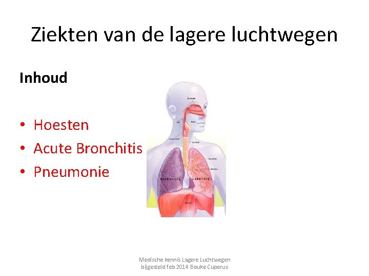 Ziekten van de lagere luchtwegen Inhoud • Hoesten • Acute Bronchitis • Pneumonie Medische