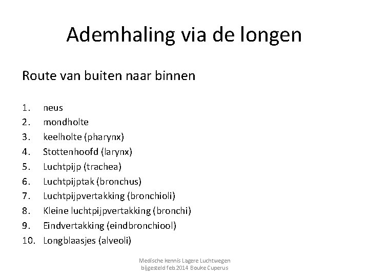 Ademhaling via de longen Route van buiten naar binnen 1. 2. 3. 4. 5.