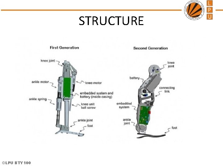 STRUCTURE ©LPU BTY 100  STRUCTURE ©LPU BTY 100