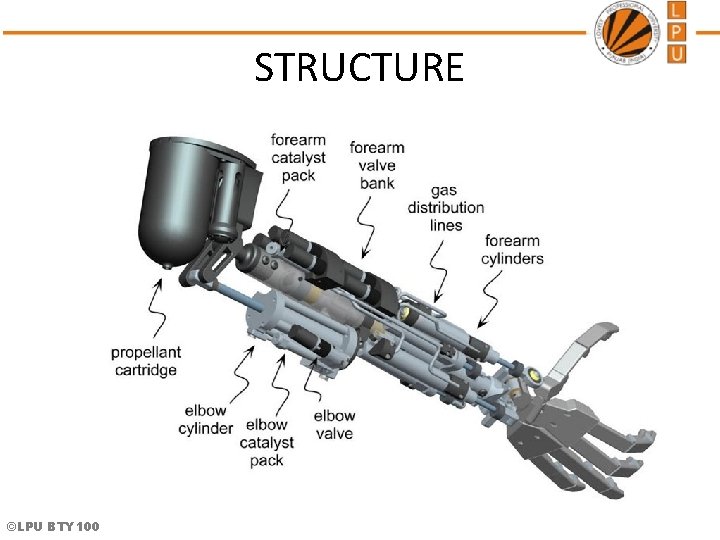 STRUCTURE ©LPU BTY 100  STRUCTURE ©LPU BTY 100