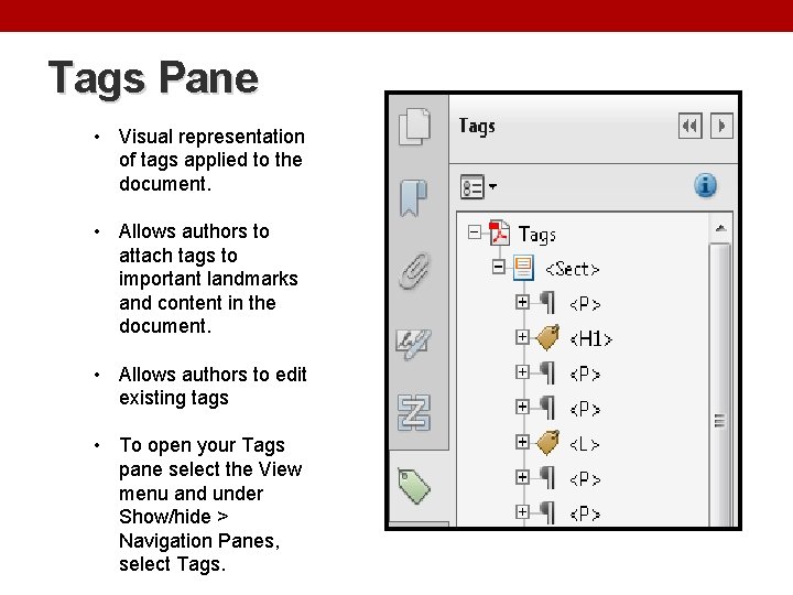 Tags Pane • Visual representation of tags applied to the document. • Allows authors