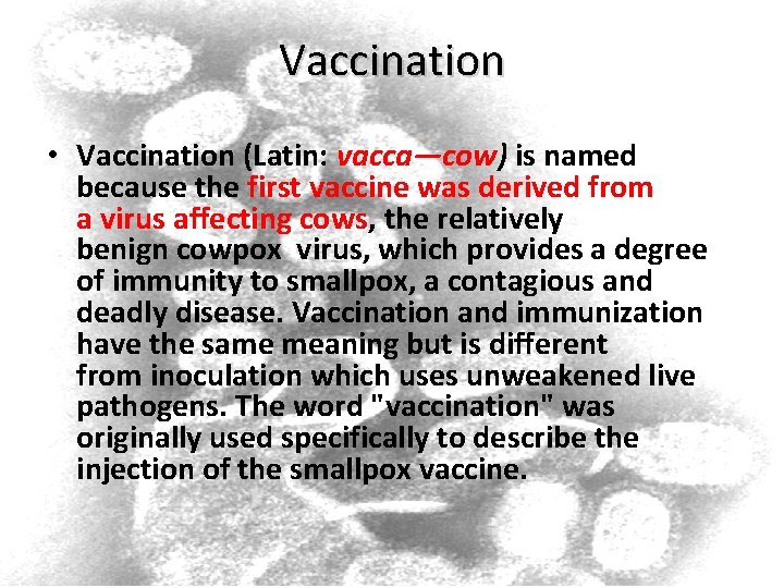 Vaccination • Vaccination (Latin: vacca—cow) is named because the first vaccine was derived from