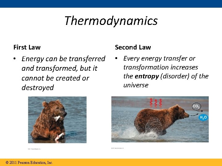 Thermodynamics First Law Second Law • Energy can be transferred and transformed, but it