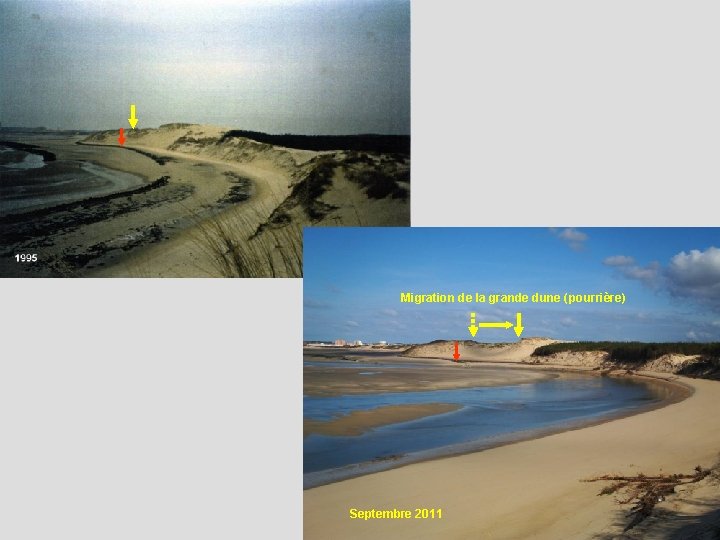 Migration de la grande dune (pourrière) Septembre 2011 