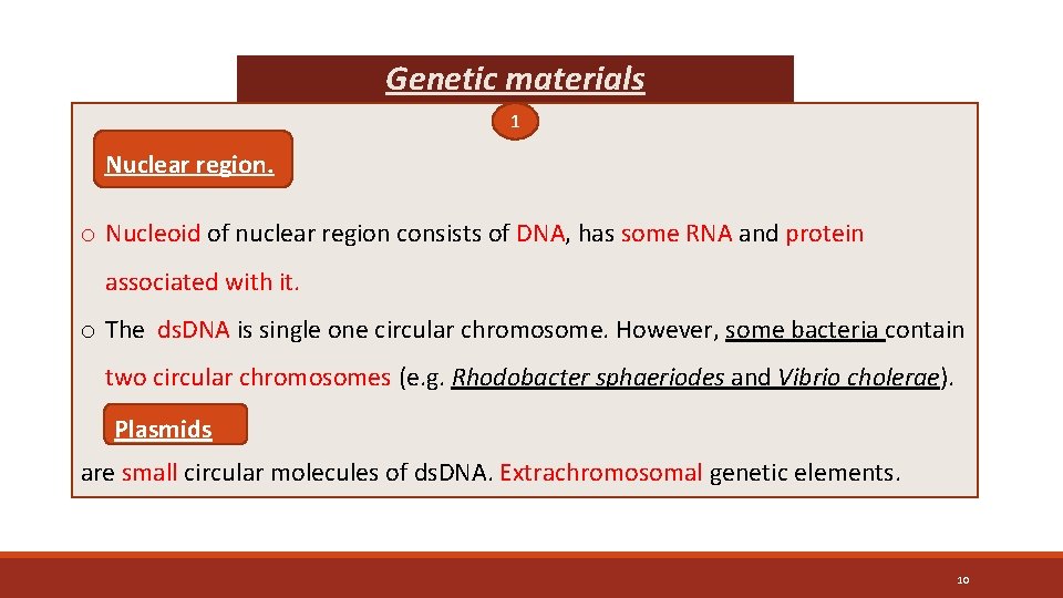 Genetic materials 1 Nuclear region. o Nucleoid of nuclear region consists of DNA, has