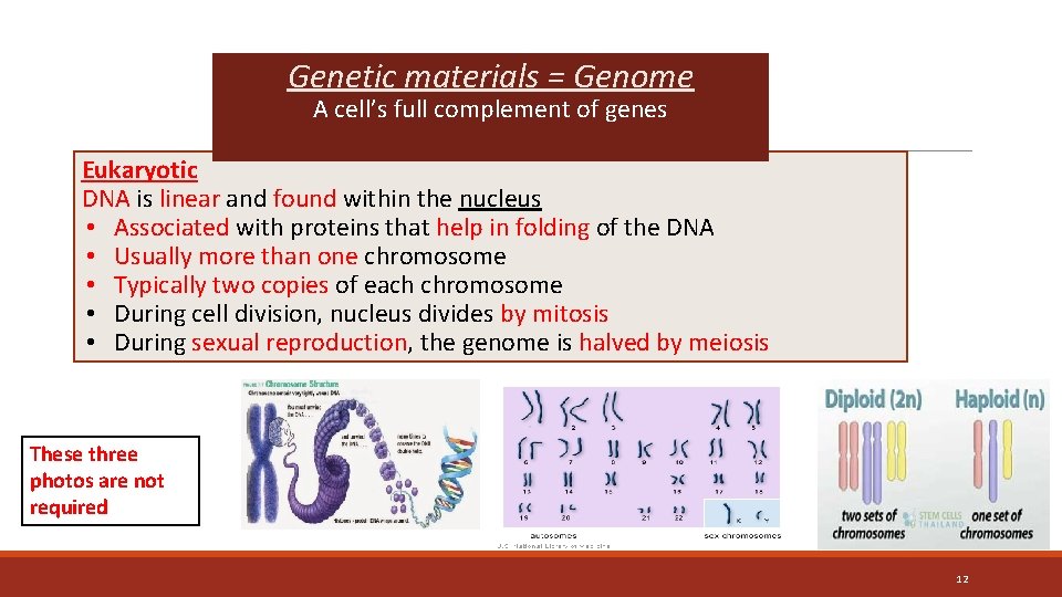 Genetic materials = Genome A cell’s full complement of genes Eukaryotic DNA is linear