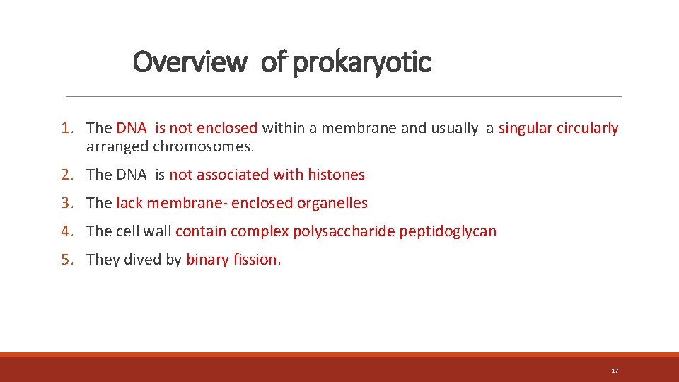 Overview of prokaryotic 1. The DNA is not enclosed within a membrane and usually