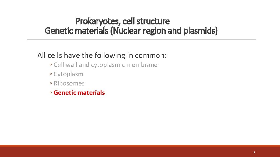 Prokaryotes, cell structure Genetic materials (Nuclear region and plasmids) All cells have the following