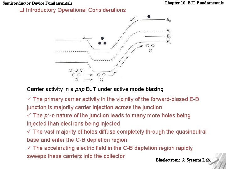 Chapter 10. BJT Fundamentals Semiconductor Device Fundamentals q Introductory Operational Considerations Carrier activity in
