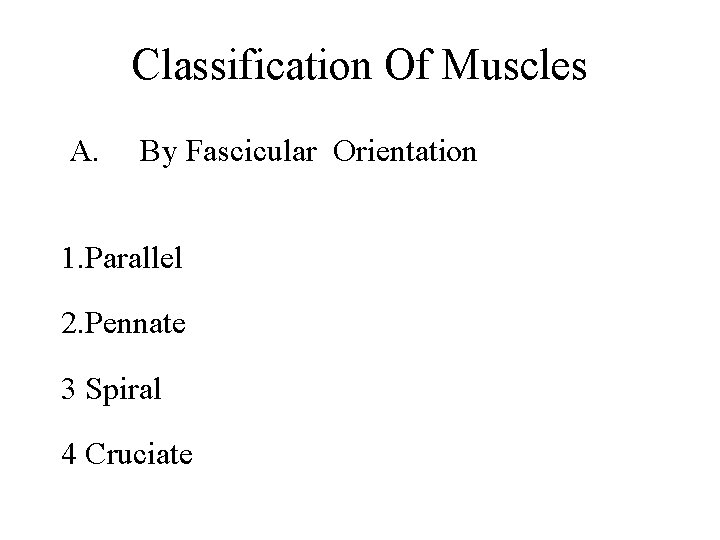 Classification Of Muscles A. By Fascicular Orientation 1. Parallel 2. Pennate 3 Spiral 4