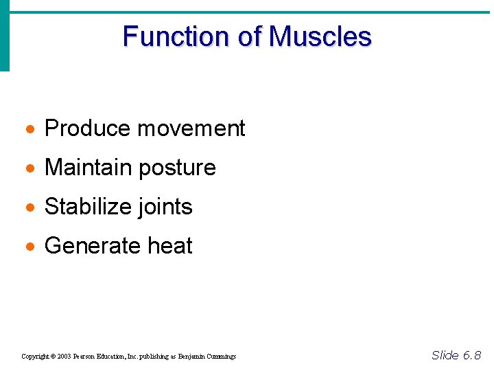 Function of Muscles · Produce movement · Maintain posture · Stabilize joints · Generate