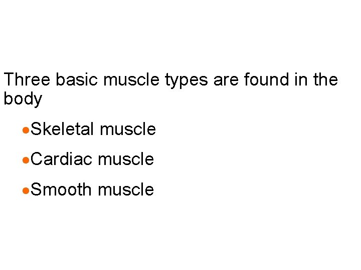 Three basic muscle types are found in the body ·Skeletal muscle ·Cardiac muscle ·Smooth