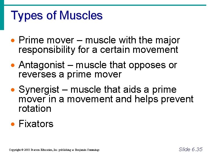 Types of Muscles · Prime mover – muscle with the major responsibility for a