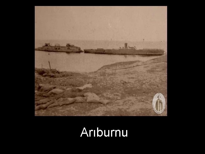 Arıburnu 