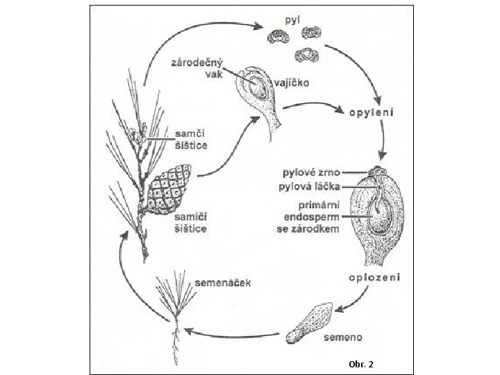 Obr. 2 