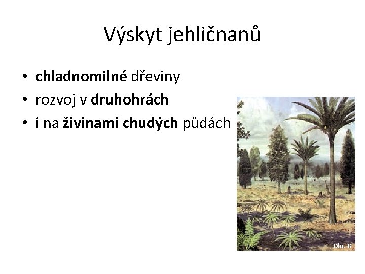 Výskyt jehličnanů • chladnomilné dřeviny • rozvoj v druhohrách • i na živinami chudých