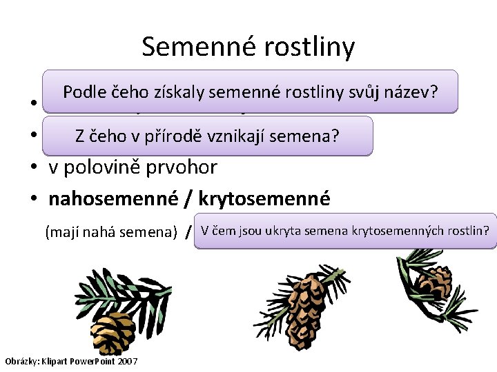 Semenné rostliny • • Podle čeho získaly semenné rostliny svůj název? rozmnožují se semeny