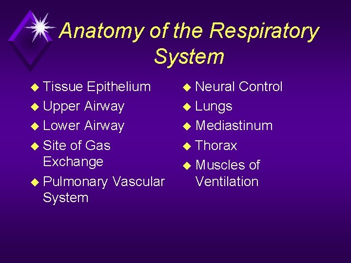 Anatomy of the Respiratory System u Tissue Epithelium u Upper Airway u Lower Airway