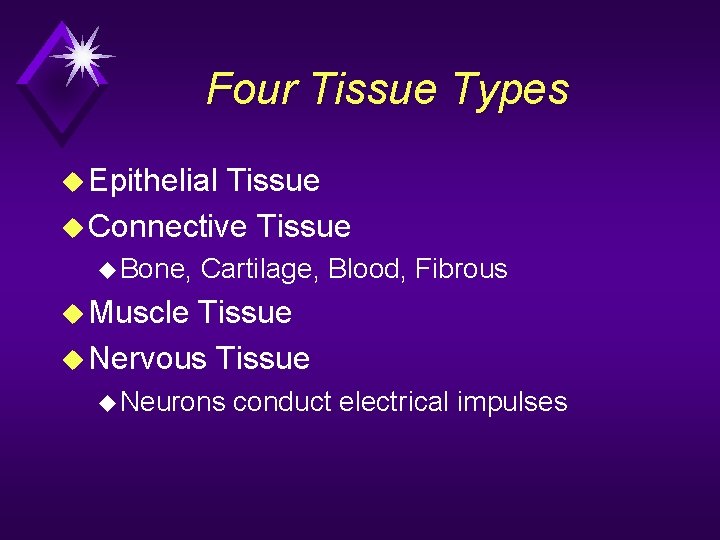 Four Tissue Types u Epithelial Tissue u Connective Tissue u Bone, Cartilage, Blood, Fibrous