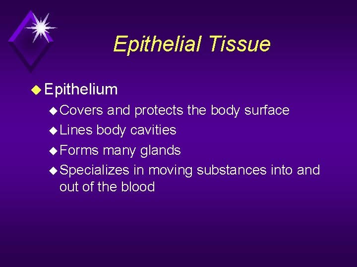 Epithelial Tissue u Epithelium u Covers and protects the body surface u Lines body