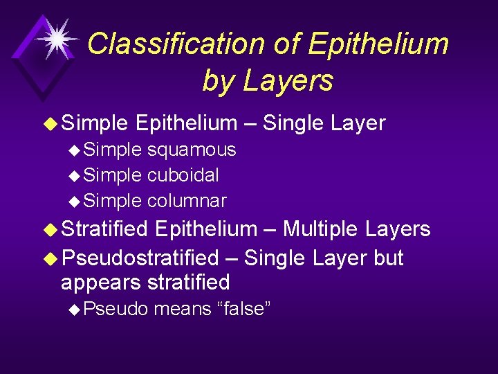 Classification of Epithelium by Layers u Simple Epithelium – Single Layer u Simple squamous