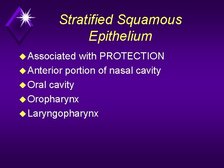 Stratified Squamous Epithelium u Associated with PROTECTION u Anterior portion of nasal cavity u