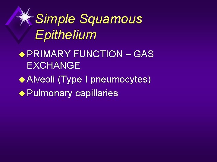 Simple Squamous Epithelium u PRIMARY FUNCTION – GAS EXCHANGE u Alveoli (Type I pneumocytes)