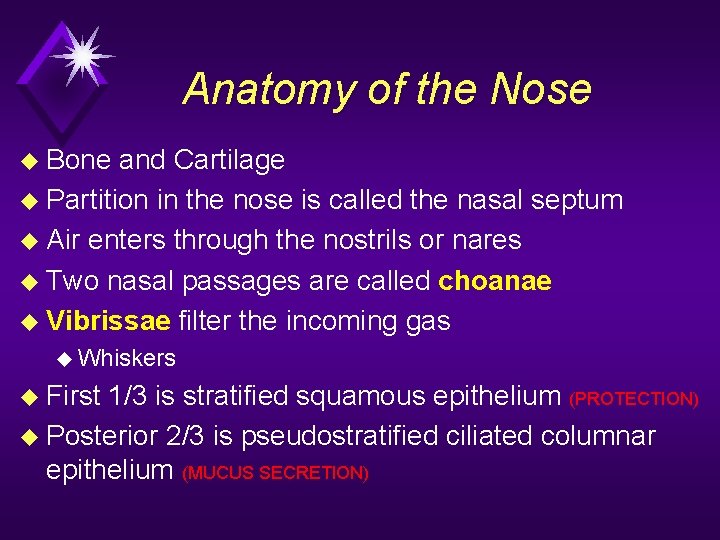 Module A 2 Upper Airway Anatomy Physiology Objectives
