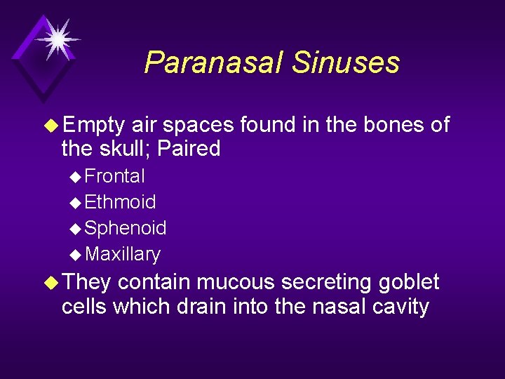 Paranasal Sinuses u Empty air spaces found in the bones of the skull; Paired