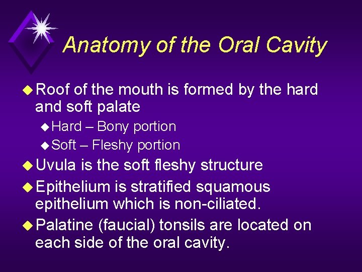 Anatomy of the Oral Cavity u Roof of the mouth is formed by the