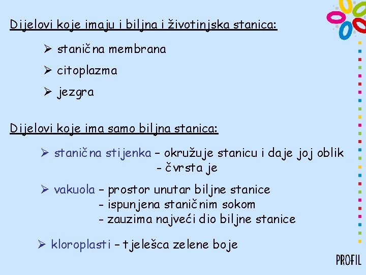 Dijelovi koje imaju i biljna i životinjska stanica: Ø stanična membrana Ø citoplazma Ø