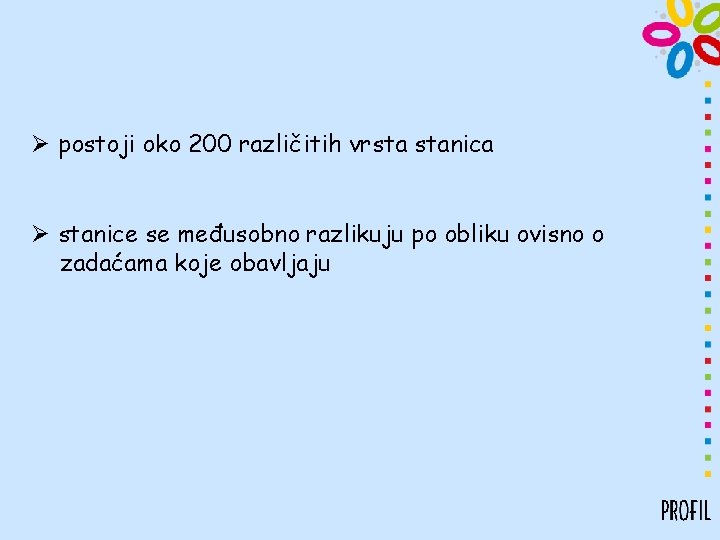 Ø postoji oko 200 različitih vrsta stanica Ø stanice se međusobno razlikuju po obliku