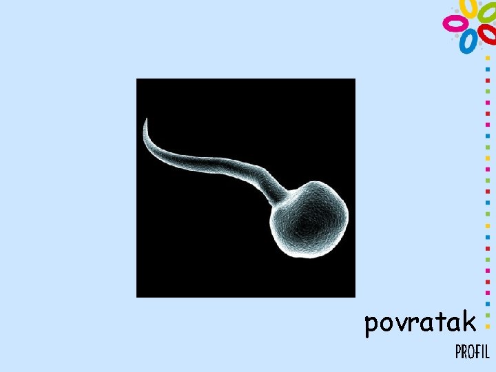 povratak 