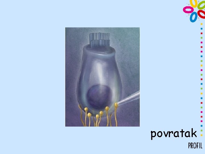 povratak 