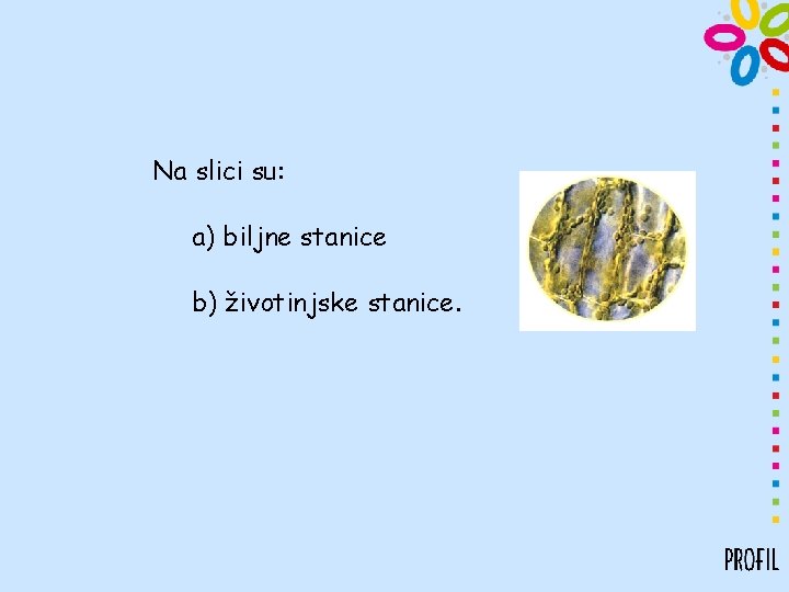 Na slici su: a) biljne stanice b) životinjske stanice. 