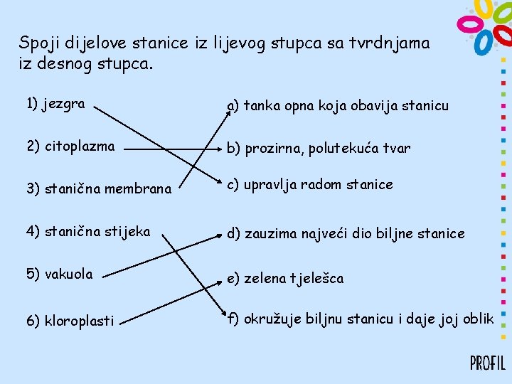 Spoji dijelove stanice iz lijevog stupca sa tvrdnjama iz desnog stupca. 1) jezgra a)