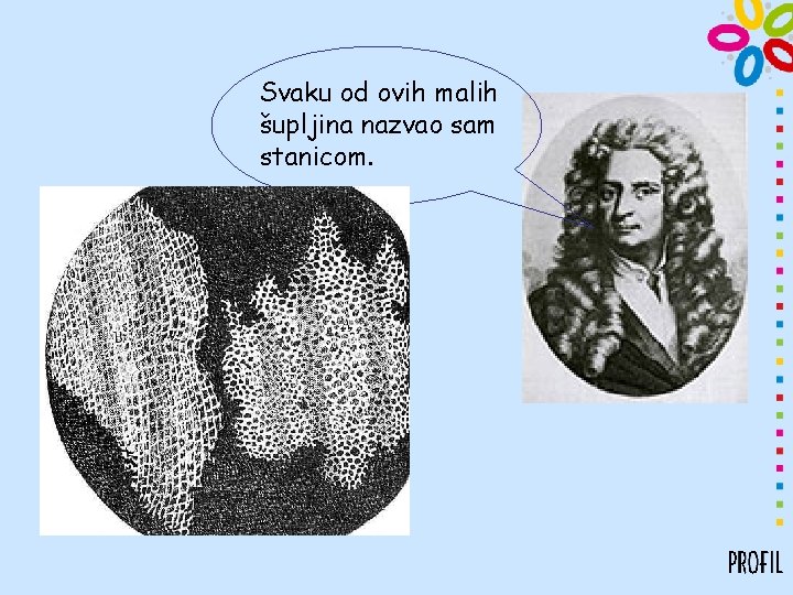 Svaku od ovih malih šupljina nazvao sam stanicom. 