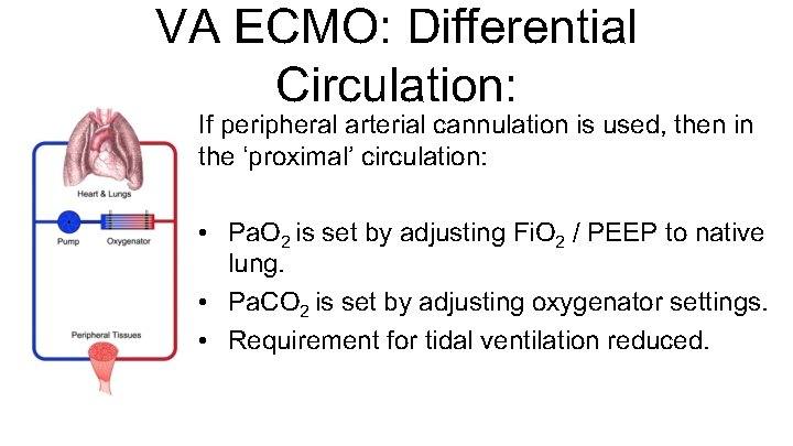 VA ECMO: Differential Circulation: If peripheral arterial cannulation is used, then in the ‘proximal’